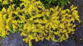 20170401_193743.webp