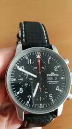 fortis.webp