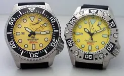 1Orient300m&200m copy.webp