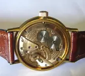 P1080063.webp P1080063.webp