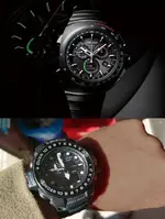 pocholo.webp