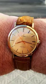 omega 601.webp