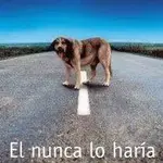 IMG_0485.webp