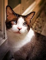 51ad0d3bdfd69dfc09f1893ebf17117a.webp