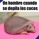 5c93fb5df0c46680e33651d06e3ef667.webp