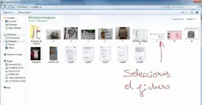 aa.webp