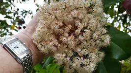 20170414_105022.webp