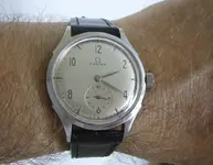 P1080187.webp P1080187.webp