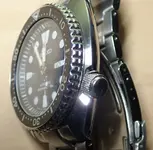 1ToarMf.webp