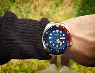 seiko padi.webp