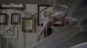 giphy-downsized (3).webp