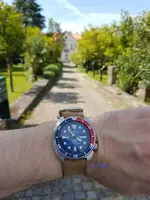 padi.webp