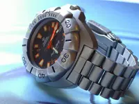 ZODIAC SEA WOLF.webp