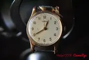Add-Watermark20200418073754.webp