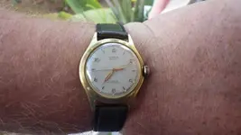 IMGP0214.webp