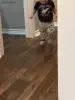 videotogif_2017.05.08_17.55.14.webp