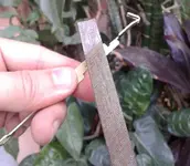 20170408_170326.webp