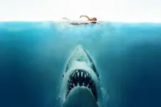 06-shark-attack-620x413.webp