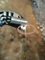 Módulo,,.webp