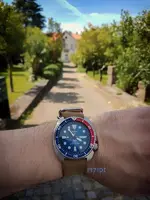 padi.webp
