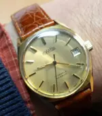 Roamer 17j inca gold 20170418_092629_resized.webp