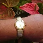 IMGP1277.webp
