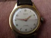 IMGP1780.webp