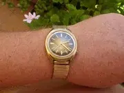 IMGP2414.webp