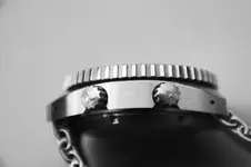 lateral el buzo.webp