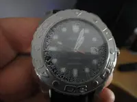 DSC00313 (Medium).webp
