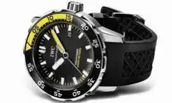 iwc.webp