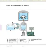 5.webp