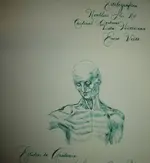 Noodlers 14 agosto 2012.webp