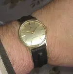 tissotw.webp