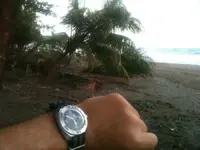 tortuguero.webp