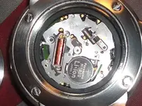 IMGP7295.webp
