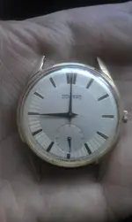 IMAG0230.webp