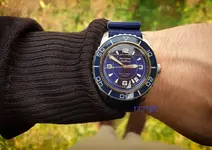 seiko ff.webp