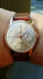 festina.webp