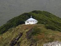 Faro estados.webp