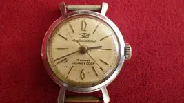 IMGP0382.webp
