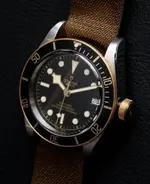 Tudor-Heritage-Black-Bay-SG-79733N-watch-3.webp