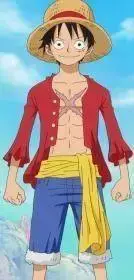 Monkey_D._Luffy_Anime_Post_Timeskip_Infobox.webp