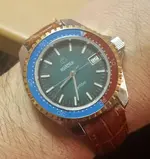 Anfibio diver.webp
