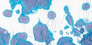 tinta del FRE crtgf.webp