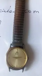 seiko4.webp