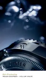 9f51484e7d5e0460ed20cb16d97bcd99.webp