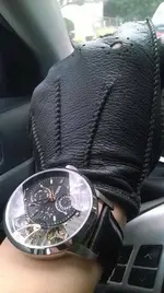 TW Fossil.webp