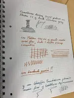 IMG_0236.webp IMG_0236.webp