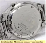 seiko.webp